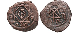 David VIII Rebel (Urchi) - regular fals