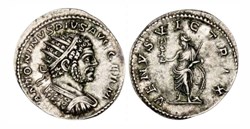 Rome - VENVS VICTRIX