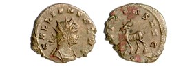 Rome - DIANAE CONS AVG