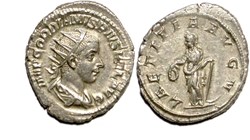 Rome - LAETITIA AVG M