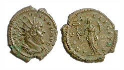 Marius - SAEC FELICITAS