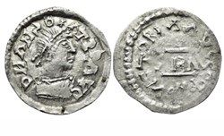 Half Siliqua