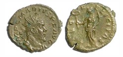 Marius - SAEC FELICITAS