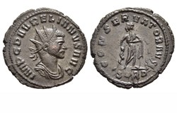 Serdica - CONSERVATOR AVG