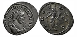 Colchester - PROVID AVG