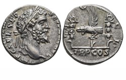 Rome - LEG VII CL / TR P COS