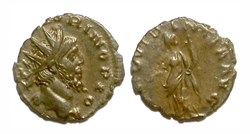 PROVIDENTIA AVG - DIVO