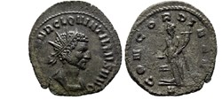 Rome - CONCORDIA AVG