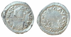 Half-Siliqua