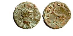 Rome - DIANA CONS AVG (v)