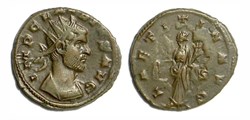 LAETITIA AVG
