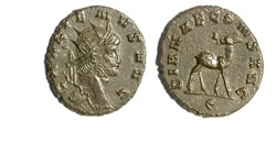 Rome - DIANAE CONS AVG