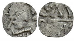 Half siliqua