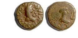 Thothorses