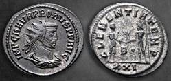 Fourth unidentified eastern mint - CLEMENTIA TEMP