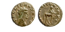 Rome - APOLLINI CONS AVG