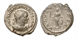 Rome - VENVS VICTRIX