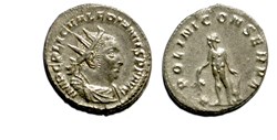 Milan - APOLINI CONSERVA