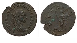 Rome - SECVRIT AVG