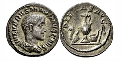 Maximus - PIETAS AVG