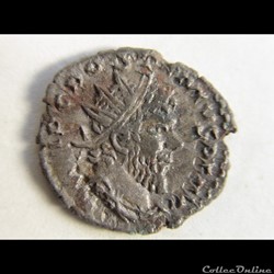 POSTUME 268 IMITATION HYBRIDE UNVICTUS