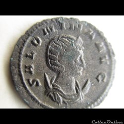 SALONINE 265-266 ROME FECONDITE