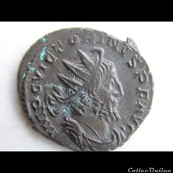 VICTORIN 270 TREVES VIRTUS A DROITE