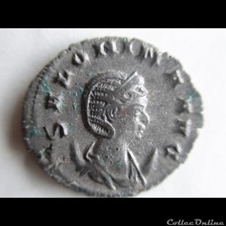 SALONINE 257-259 COLOGNE VESTA