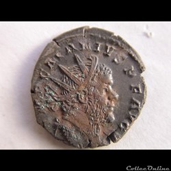 MARIUS 269 TREVES CONCORD MILIT