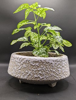 Céramique crispée - cache pot West Germany Vetter