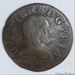 Guillaume-Henri de Nassau (1650-1702). Double tournois