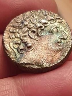 Philippus philadelphus tetradrachme