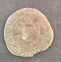 Grand blanc louis XII dijon