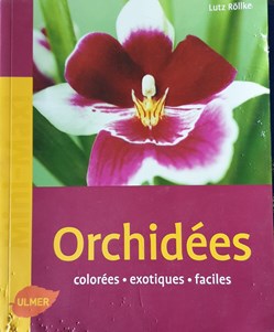 Orchidée. Coloré. Exotique. Facile