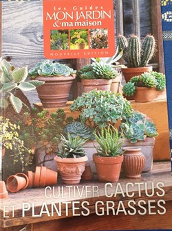 Cultiver cactus et plantes grasses