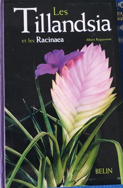 Les Tillandsia et les racinaea