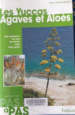 Les yuccas, agave et aloes