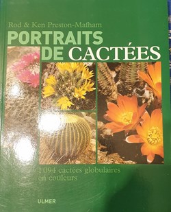 Portrait de cactées