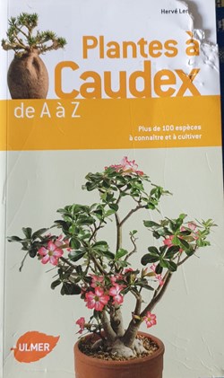 Plantes à caudex de a à z