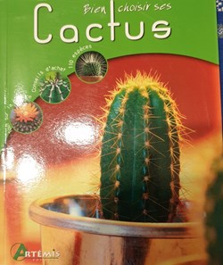 Bien choisir ses cactus