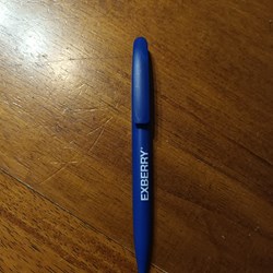 Stylo Exberry