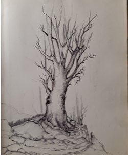 Solitude / Années 1970