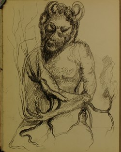 Faune