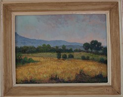 Blé, collines de Provence / 1983