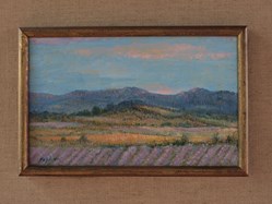 Colline de Provence et lavande