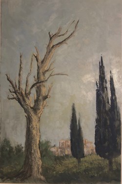 Arbre mort et cyprès / Années 1970
