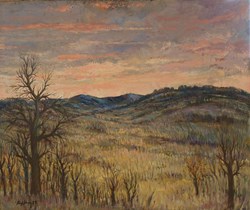 Paysage avec arbres morts