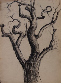 Arbre mort en mouvements / Années 1970