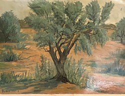 Olivier à Châteauneuf-le-Rouge / 08 - 1949