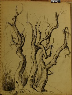 Trio d'arbres  /  1962